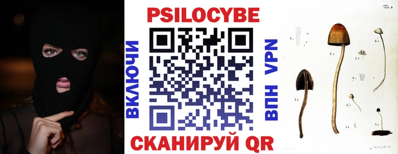 Галлюциногенные грибы прущие грибы  Цивильск 