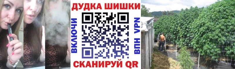 Шишки марихуана Ganja  МЕГА как зайти  Цивильск 